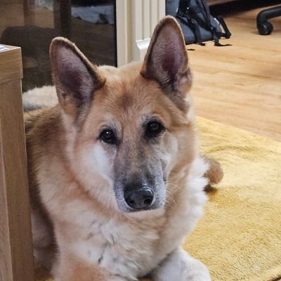 BreezieIngham's profile picture. 9 yrs on Twitter X. I'm only human, born to make mistakes. An opinion is neither right nor wrong. It's just that, an opinion.  🇿🇦 🏴󠁧󠁢󠁥󠁮󠁧󠁿 🇬🇧 🇺🇸