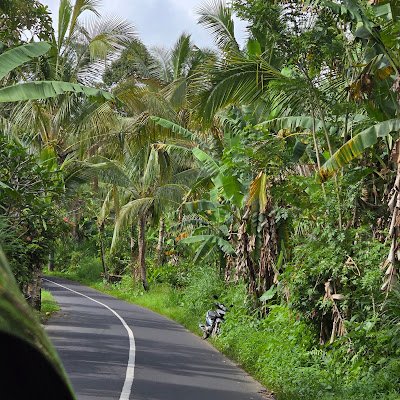 4748abd's profile picture. 