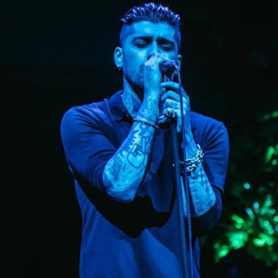 zaynsgarden's profile picture. saw 5/5 & zayn, niall, and harry || SEEING LOUIS🍋 || free palestine 🇵🇸 || im married