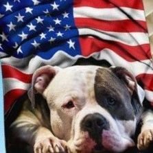 HoganRising's profile picture. HEALTH IS THE GREATEST WEALTH