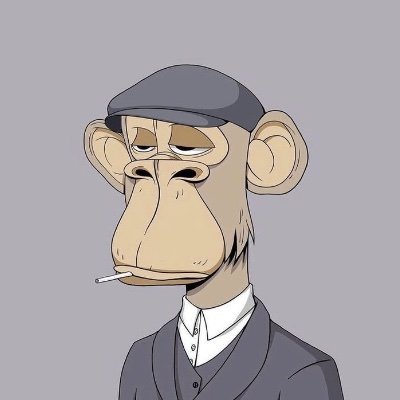 iMrJhonbtc's profile picture. ⚡ Crypto Marketing Wizard | Crafting momentum, building empires, creating waves 🌊🚀💎 | ฿ Believer 🐝 | DM for business 📩