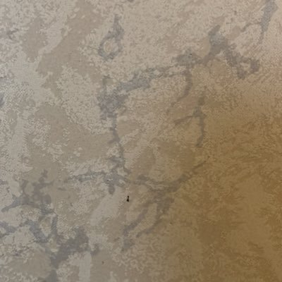 alexanderdenova's profile picture. 🇦🇷