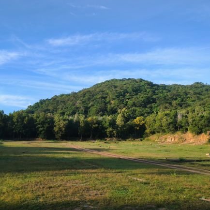 phuong737332985's profile picture. 