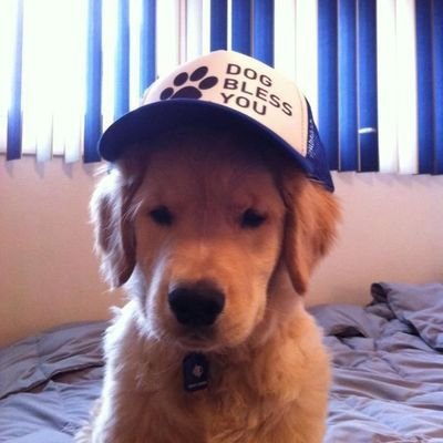 arjintuna's profile picture. te amo kim seokjin