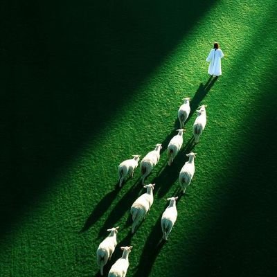 LitoasisTech's profile picture. 