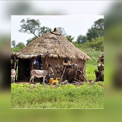 Yusuf2097485's profile picture. 