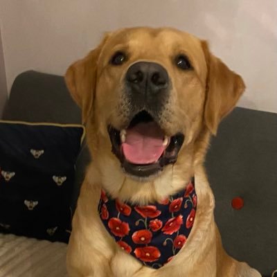 Oldmansknees's profile picture. I always aim to please but usually miss ( Sir Paul Heaton) Love my boys, my wife, The Manics, The Royal Marines SAFC, my piano, my mates and the North