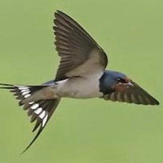 azad_tourism's profile picture. #Ajk.News. Bhimber to Muzaffarabad. Information from Muzaffarabad to Himmat. Azad State of Jammu and Kashmir