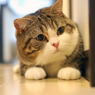 RCherry22541's profile picture. この世界では、私たちはあらゆることをして 欲しいものを手に入れよう、でもいつか一緒に楽しい時間を過ごせる日が来るはずだ🌼🌻🌻🌻🍁🌺🌹🌹