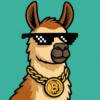 cryptolama7's profile picture. smartest lama in town