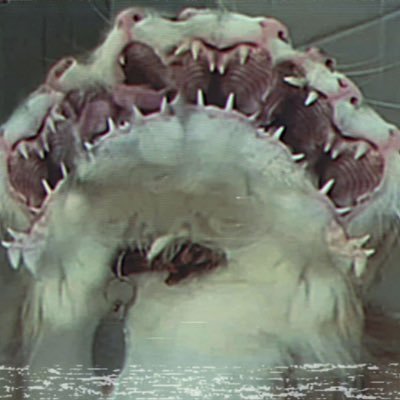 AbyssOfTheDark's profile picture. 