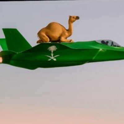 smailyh567's profile picture. احب وطني 
زعيمه هلاليه💙