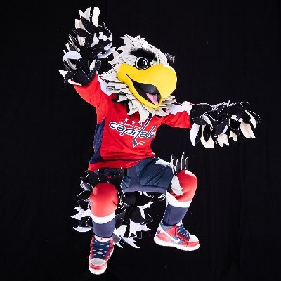 Caps_Slapshot's profile picture. Official Mascot for the Washington Capitals. To book an appearance email slapshot@washcaps.com