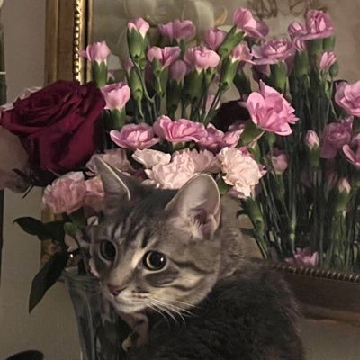 VIi_7v's profile picture. ﴿ رَبِّ اغْفِرْ لِي وَلِوَالِدَيَّ ﴾