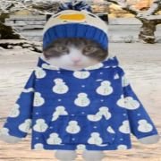 EeyoreFairyTale's profile picture. I'm 12 y/o, Emotional Support Animal w/ special needs - anxiety and Pica (eat non-food items) #SelfCare #MentalHealth advocate

Member of #Hedgewatch🦔