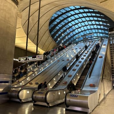 AMIRALTarantul's profile picture. Passionné de la vie !🥰