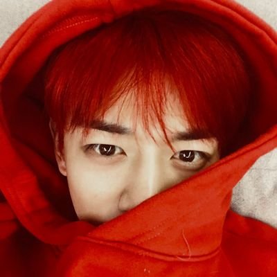 zhenledois's profile picture. me and my house served minho, sehun, and chanyeol.