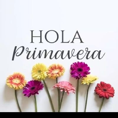 Manolitto191990's profile picture. 