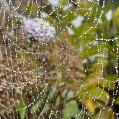 incogbyte's profile picture. pentester/infosec/ infosec researcher of nothing