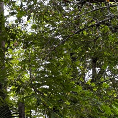 Ju06681658's profile picture. 