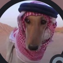 khayzw's profile picture. 