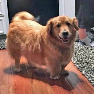 kiffeuse2butch's profile picture. 