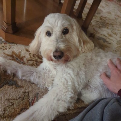 StretchHawk's profile picture. 