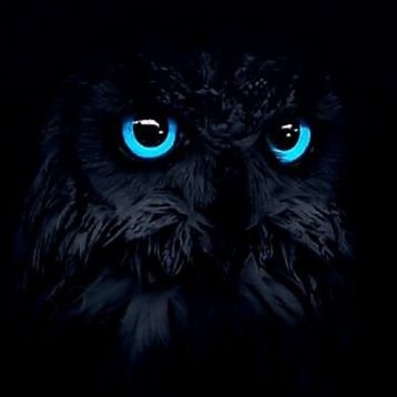 fuksa91805's profile picture. 