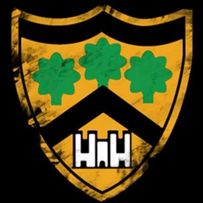 Skewenrfc's profile picture. WRU Division 1 West Central. #SkewenRFC #CreateOurOwnHistory
