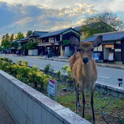 FlossRhond86199's profile picture. liberez la Palestine « abonne toi je t’accepte direct et tu auras accès aux dossiers »