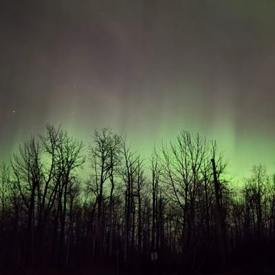 p_ans26's profile picture. No confíes, verifica.