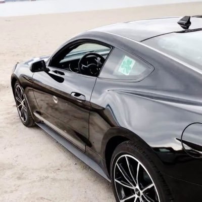 BrianVincev0bt's profile picture. GOD BLESS AMERICA, 🇺🇸 🇺🇸 🇺🇸 🇺🇸 MARXIST OCCUPATION of CANADA MUST END. GOD BLESS PRESIDENT TRUMP. GOD BLESS MAGA *51ST. 🇺🇸 🇺🇸 🇺🇸 🇺🇸 🇺🇸 🇺🇸