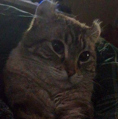 resident_addy's profile picture. 