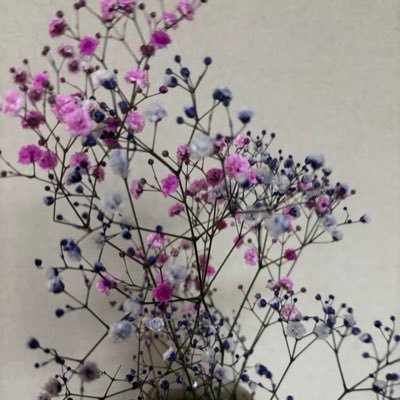 roudokuyu40's profile picture. ハンドメイドや朗読がすきです