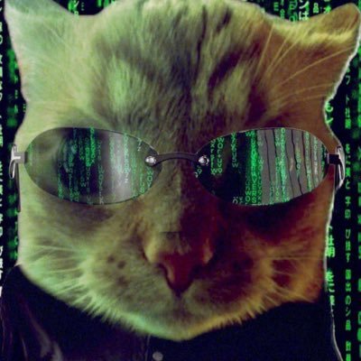 kuribohehe's profile picture. meme lord @gakstercat