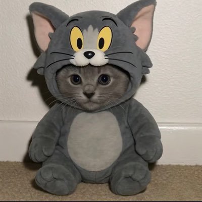 orfeunegr0's profile picture. 🎞