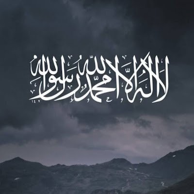 Mossaabdn31's profile picture. 