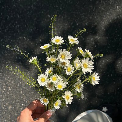 lemia808's profile picture. 