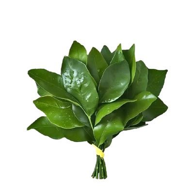 SUNMEIL01's profile picture. 喜欢新鲜感，喜欢温柔，优质，有内涵、素质的男人