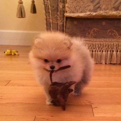 BriarEllis1984's profile picture. Success is the ability to move from one failure to another without losing enthusiasm.