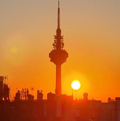 NiusOfTheWorld's profile picture. Es peligroso tener razón cuando el gobierno está equivocado.