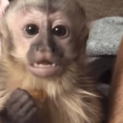 fiveaoty's profile picture. 13