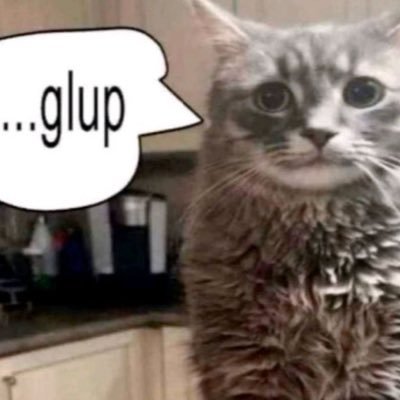 sevval242's profile picture. she would’ve made such a lovely bride