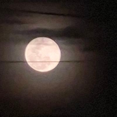 JesusMauri37953's profile picture. 