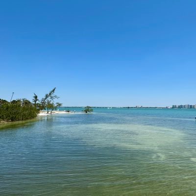 MandaAmazin's profile picture. 