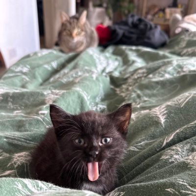 ItsLiema's profile picture. 23 - I have no clue about anything.      ldn