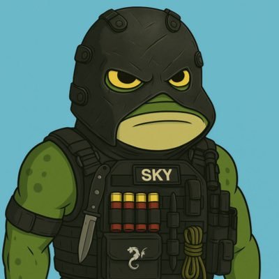 skyinnovator1's profile picture. 