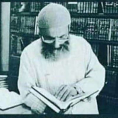 SaidAmidi_1's profile picture. 