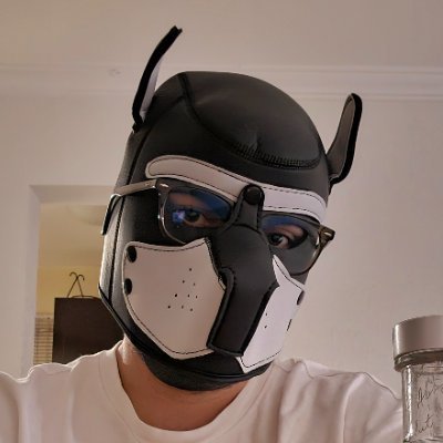 gaberpandad's profile picture. Your friendly puppy 
lvl 29 - 🇨🇴🏳️‍🌈

🔞 MINORS - GO AWAY

ad from @gaberpanda