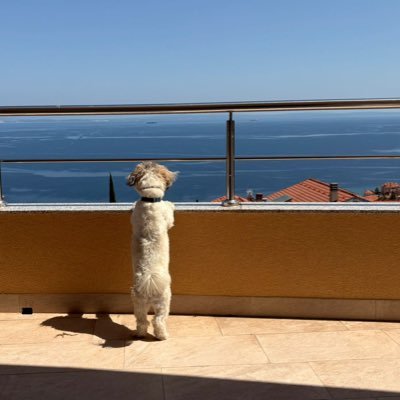 Anaplavablu's profile picture. Purgerica…volim sve nijanse plave boje🩵more, vanillllu i toblerone…